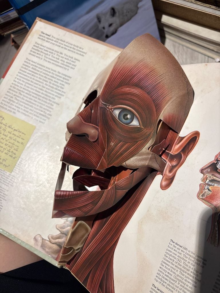  The Human Body - Jonathan Miller, David Pelham 