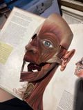  The Human Body - Jonathan Miller, David Pelham 