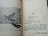  Nội công - Robert Lasserre ( bản dịch của Lạc Hà - Phan Chấn Thanh ) 