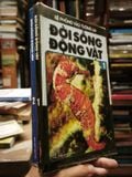  Bệ Phóng Vào Tương Lai 