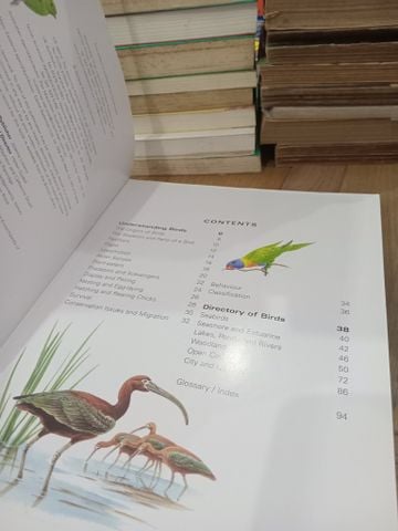  Birds of Asia & Australia: An Illustrated Encyclopedia and Birdwatching Guide - David Alderton 