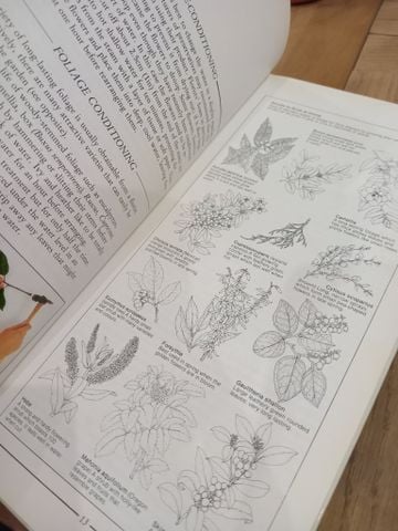  The creative art of flower arranging - Jan Hall 