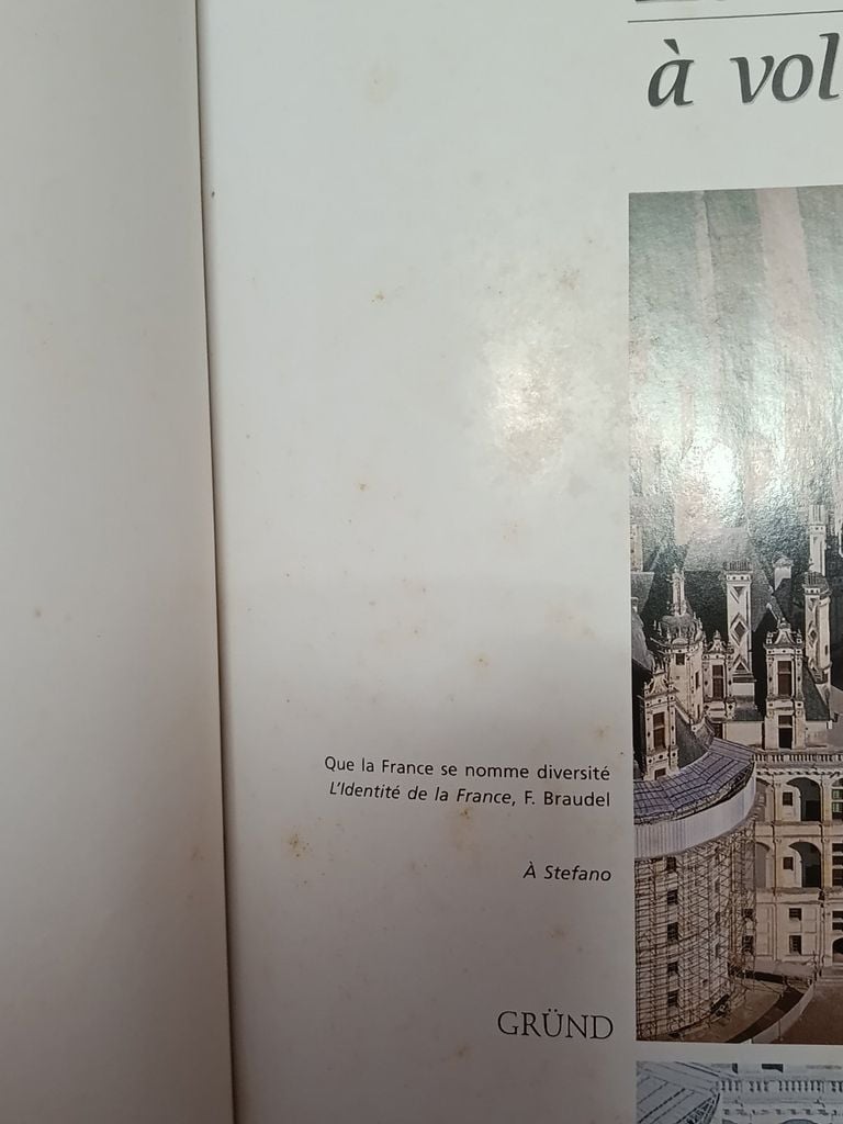  La France À Vol D'Oiseau - Jean Louis Houdebine, Guido Alberto Rossi 