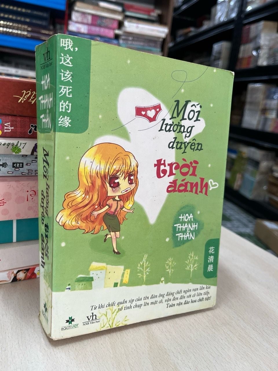  Mối lương duyên trời đánh - Hoa Thanh Thần 