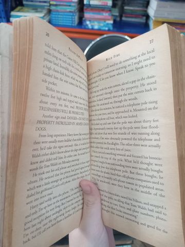 Wild Fire - Nelson Demille