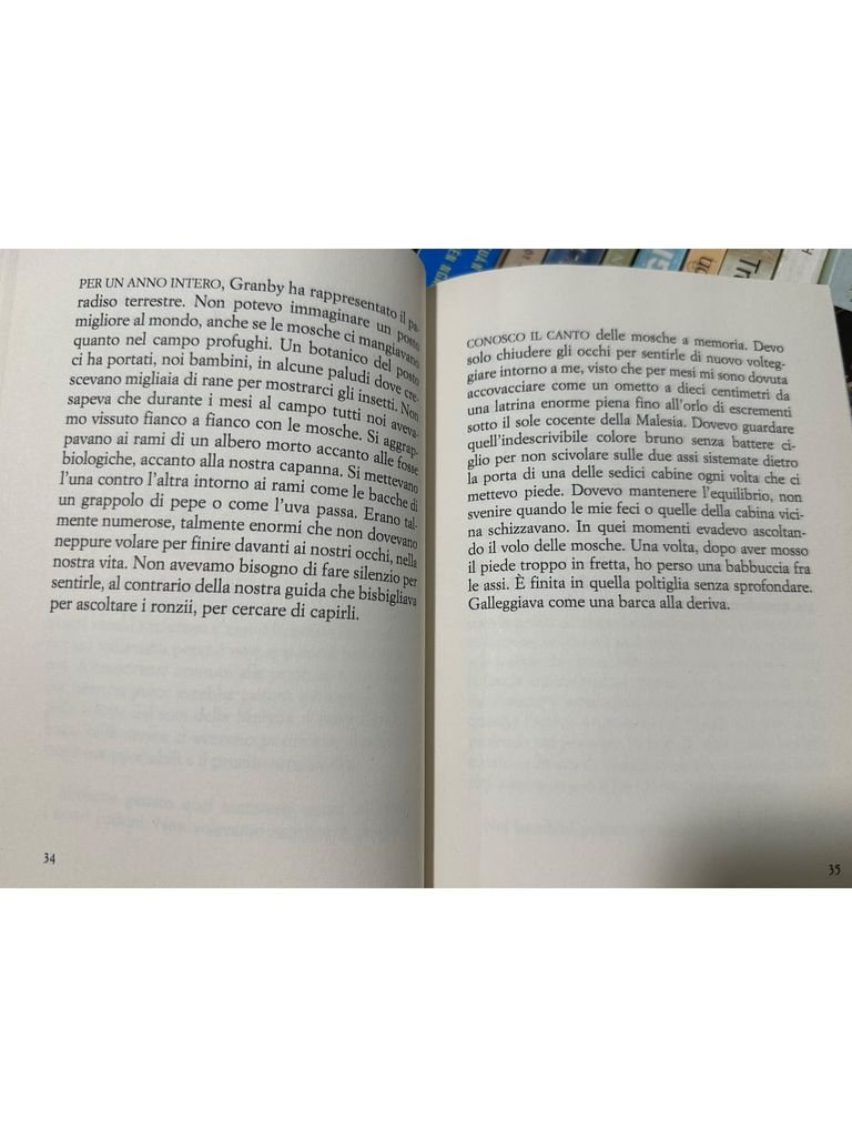  Riva - Kim Thúy ( French Books ) 