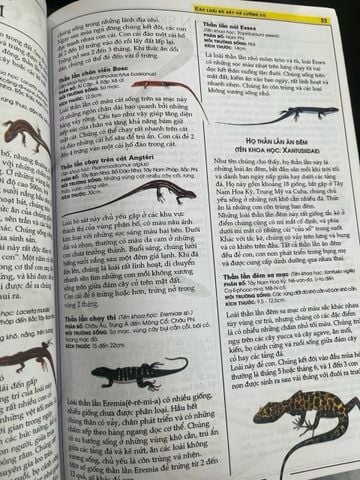  Các loài bò sát lưỡng cư 