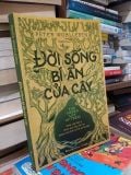  Đời Sống Bí Ẩn của Cây - Peter Wohlleben 