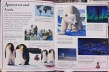  First Encyclopedia - Kingfisher 