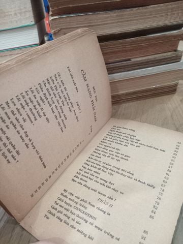 Cẩm Nang Phái Nam - Hoàng Lan