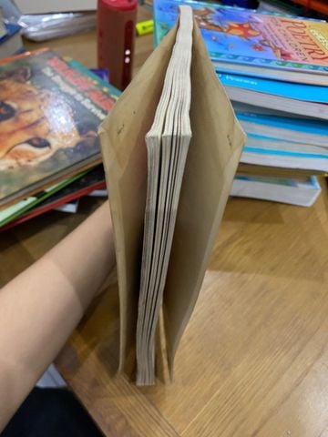  The Backyard Landscaper : 40 Professional Designs for DIY 