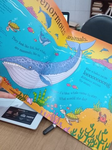  Could A Whale Swim To The Moon And Other Questions - Aleksei Bitskoff, Camilla De La Bédoyère 