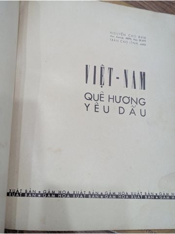  Việt Nam Quê Hương Yêu Dấu - Nguyễn Cao Đàm, Trần Cao Lĩnh 
