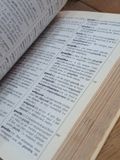  Maxi débutants le dictionaire CE 2, CM (20000 mots) - Larousse 