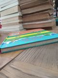  Look Inside the Stone Age - Usborne 