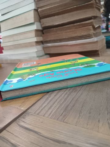  Look Inside the Stone Age - Usborne 