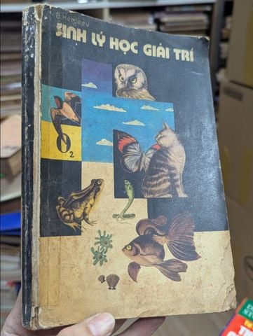  Sinh lý học giải trí - B. Xergeev 