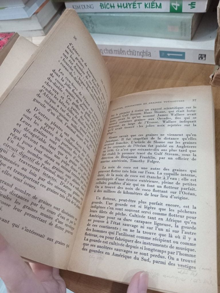  Les Fruits de la Terre - Winifred G. Hammond 