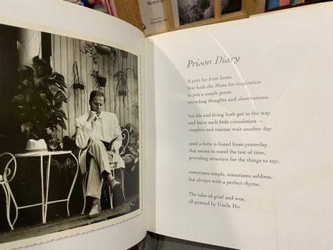Behind Blue Eyes: Sonnets from the Vietnamese - Robert Hughes