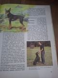  Hunde 