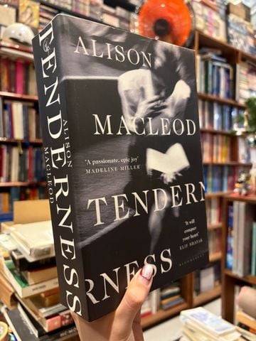 Tenderness - Alison Macleod