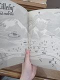  Shadow on the mountain - Margi Preus 