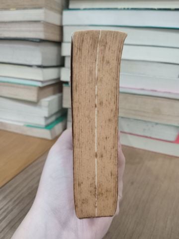  Da Nang Diary - Col. Tom Yarborough 