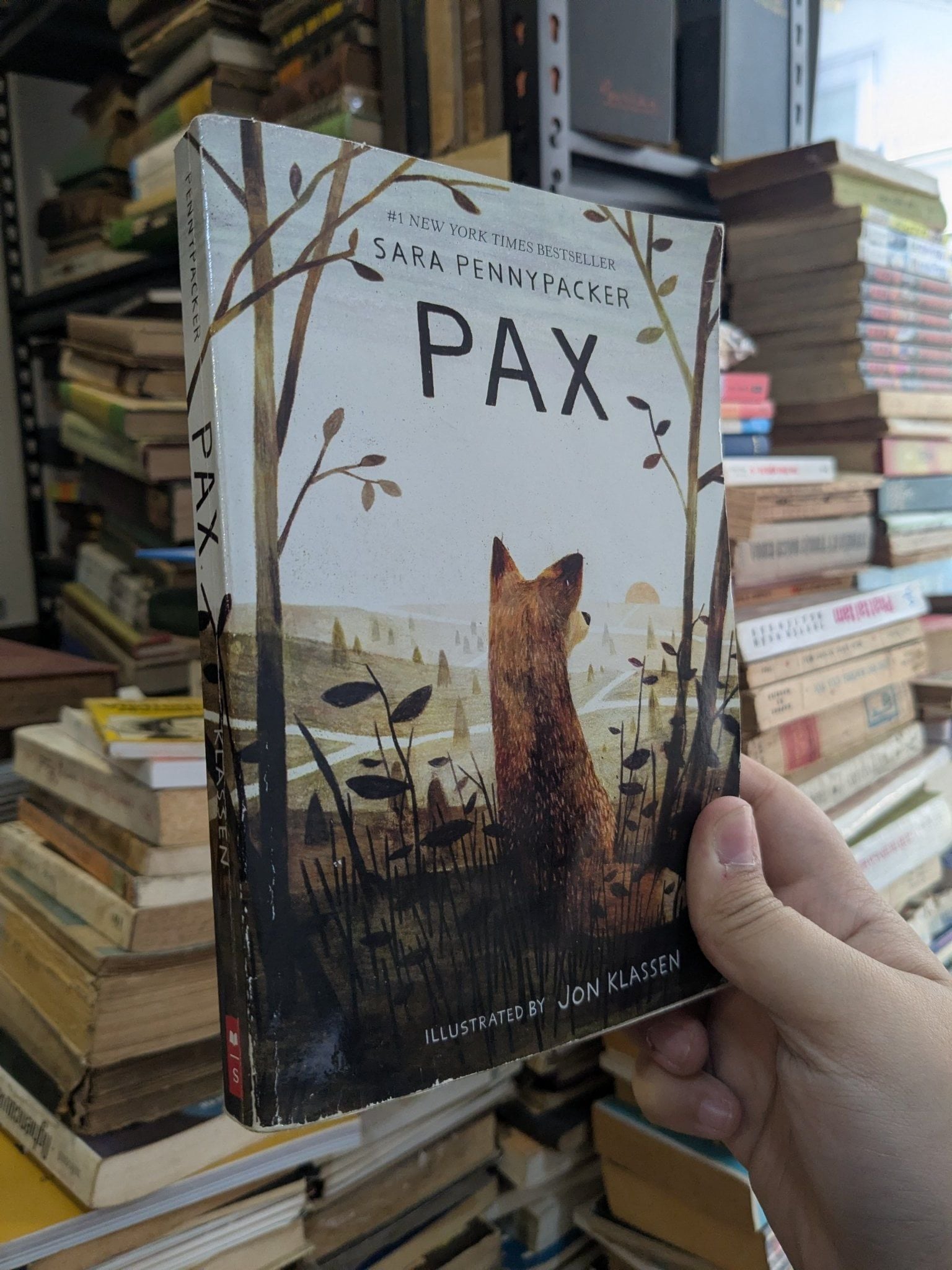 PAX - Sara PennyPacker – Momo Bookstore