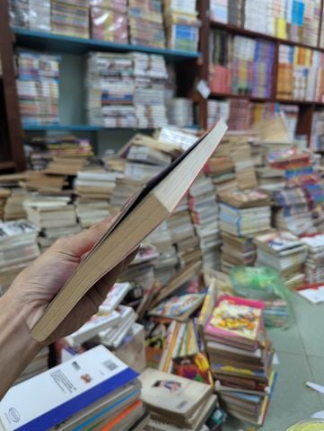  Truyện tranh chiêu hoàng kỷ 