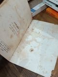  Cánh Buồm Thơ Tình Yêu - Nhiều Tác Giả 