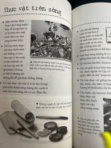  Thế giới thực vật - Minh Thành 