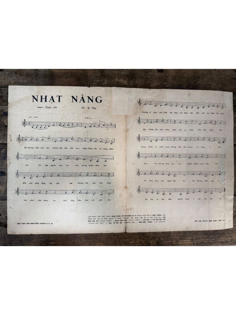  Nhạt Nắng 