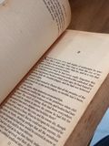  Blood and Gold - Anne Rice 