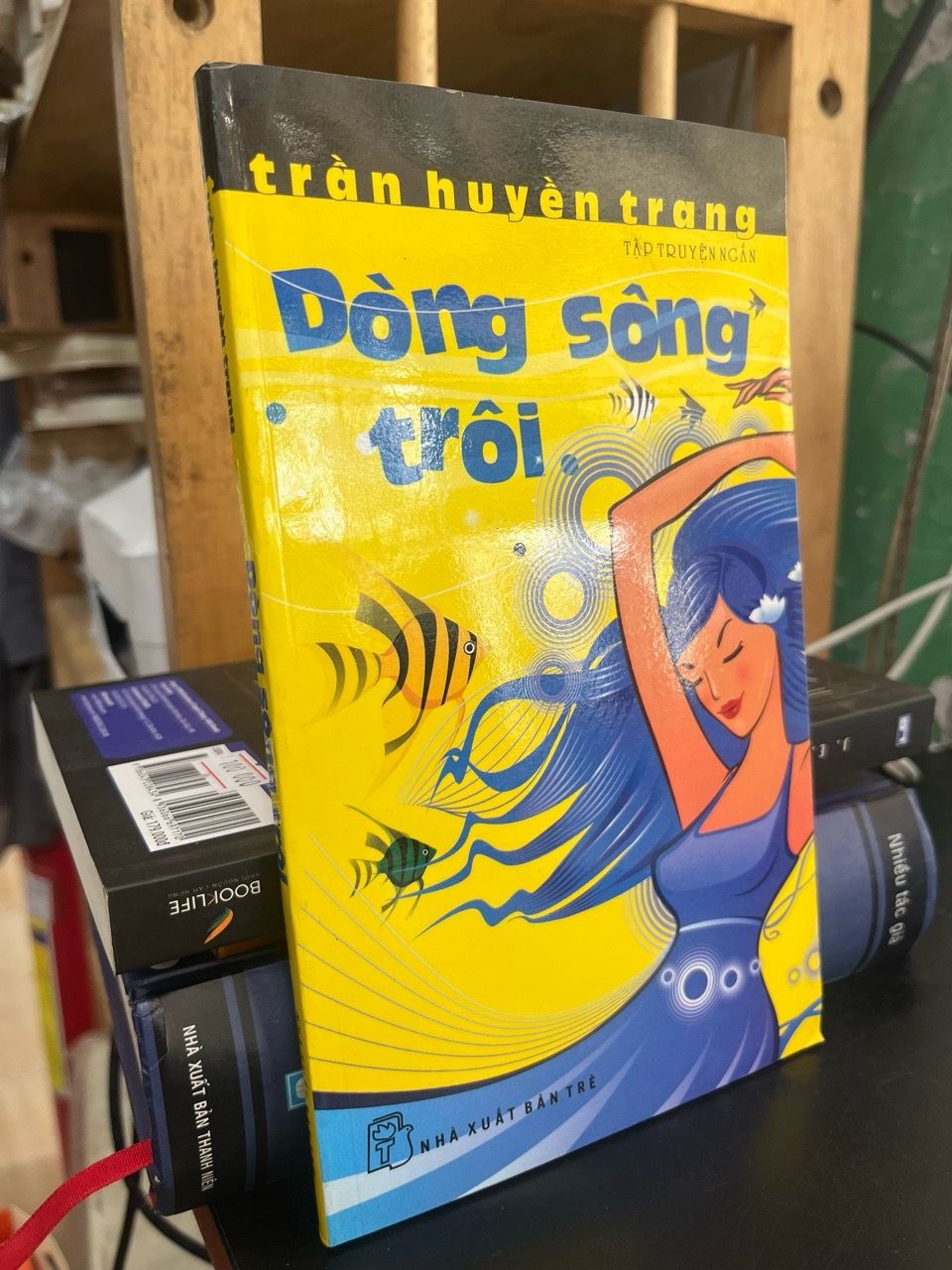  Dòng sông trôi - Trần Huyền Trang 