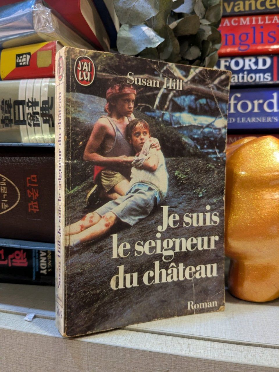  Je suis le seigneur de château - Susan Hill 