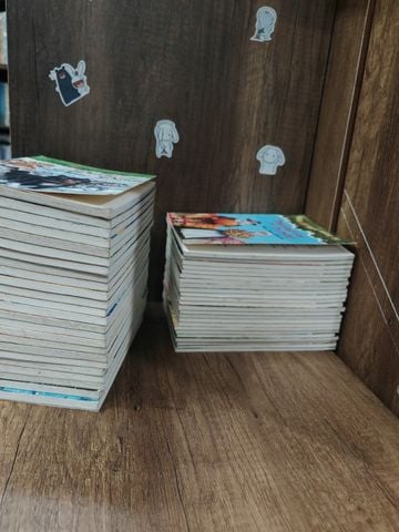  Magic Tree House - Mary Pope Osborne 