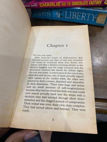  THE APPEAL - John Grisham 