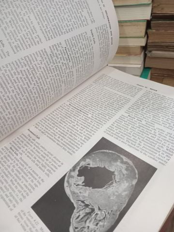  Textbook of Pathology with Clinical Application - Stanley L. Robbins 