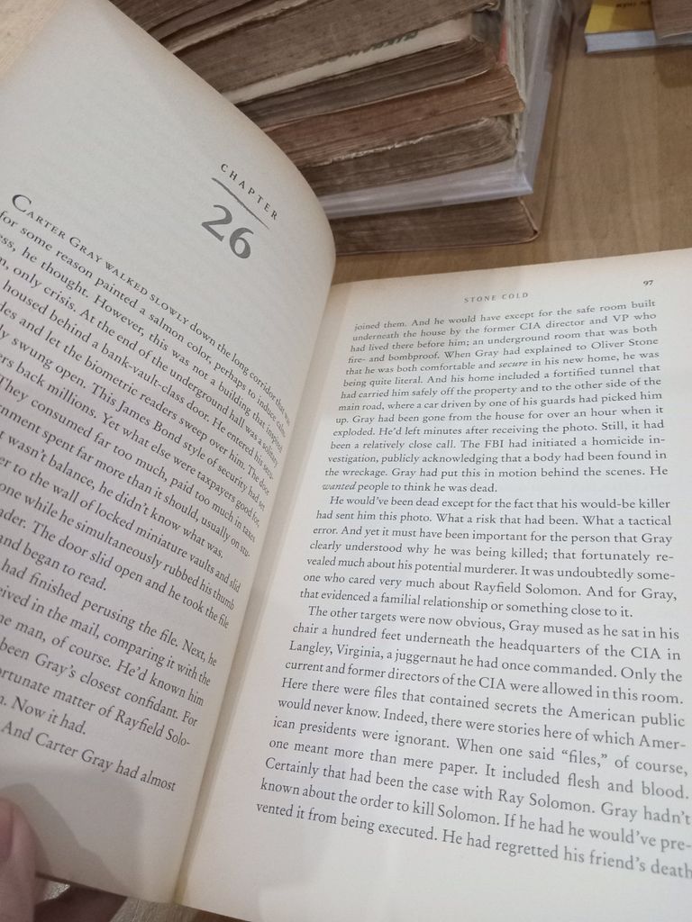  Stone Cold - David Baldacci 
