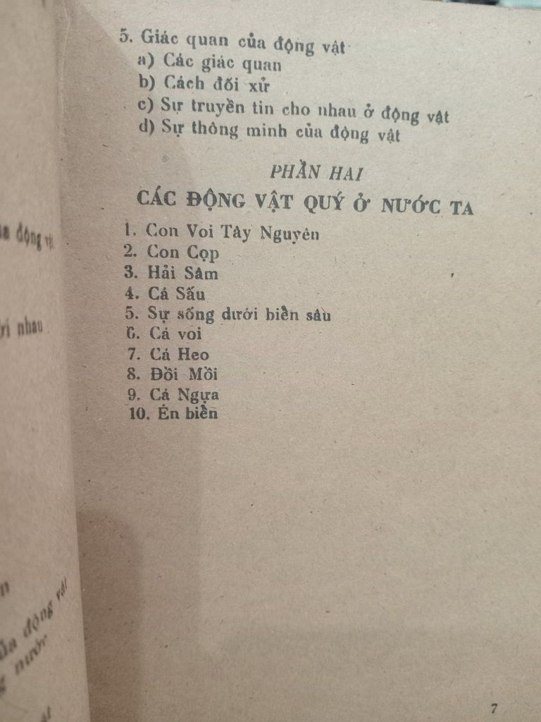  Cuộc Sống Kỳ Diệu của Muôn Loài 