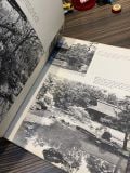  Japanese Gardens for today - David H. Engel 