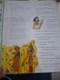  I Wonder Why Pyramids Were Built And Other Questions About Ancient Egypt - Philip Steele 