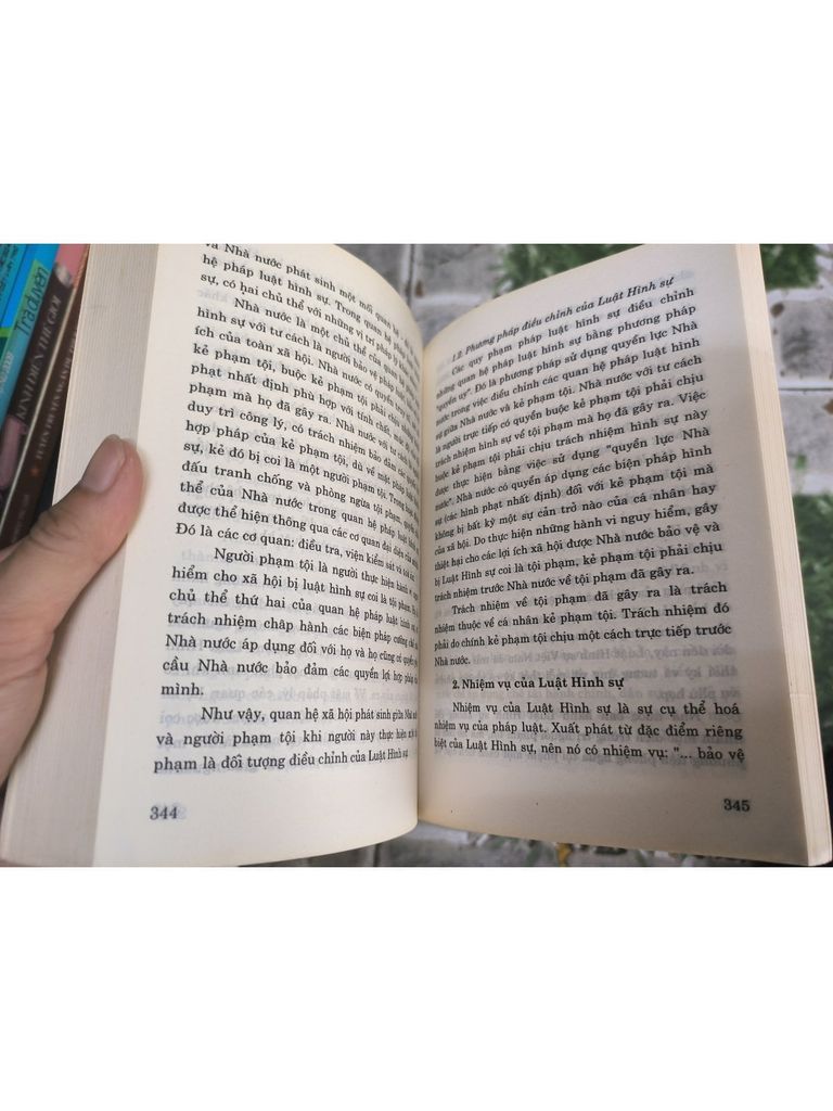  Các Ngành Luật Trong Hệ Thống Pháp Luật Việt Nam - Trần Ngọc Đường 