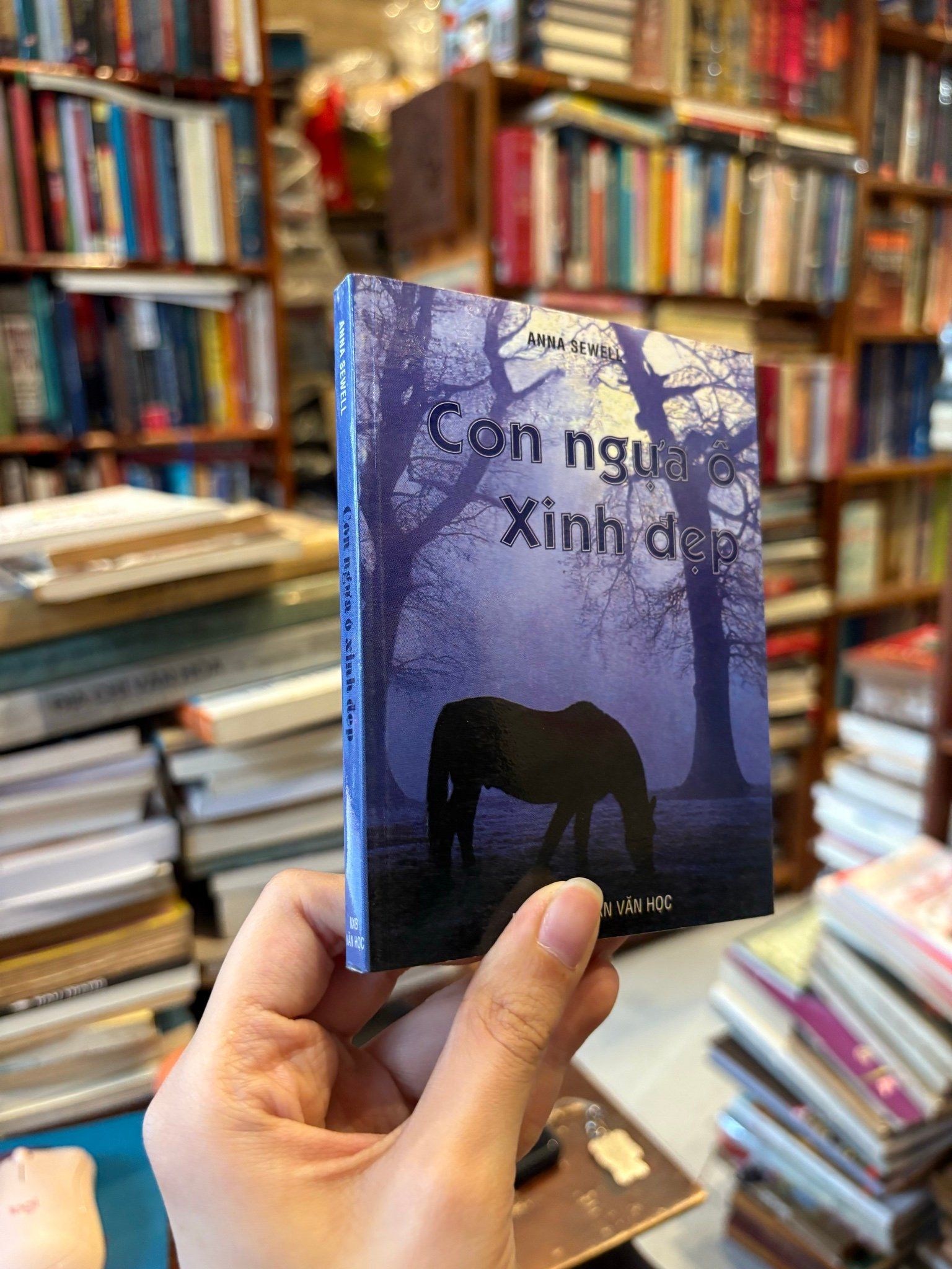  Con ngựa ô xinh đẹp - Anna Sewell 