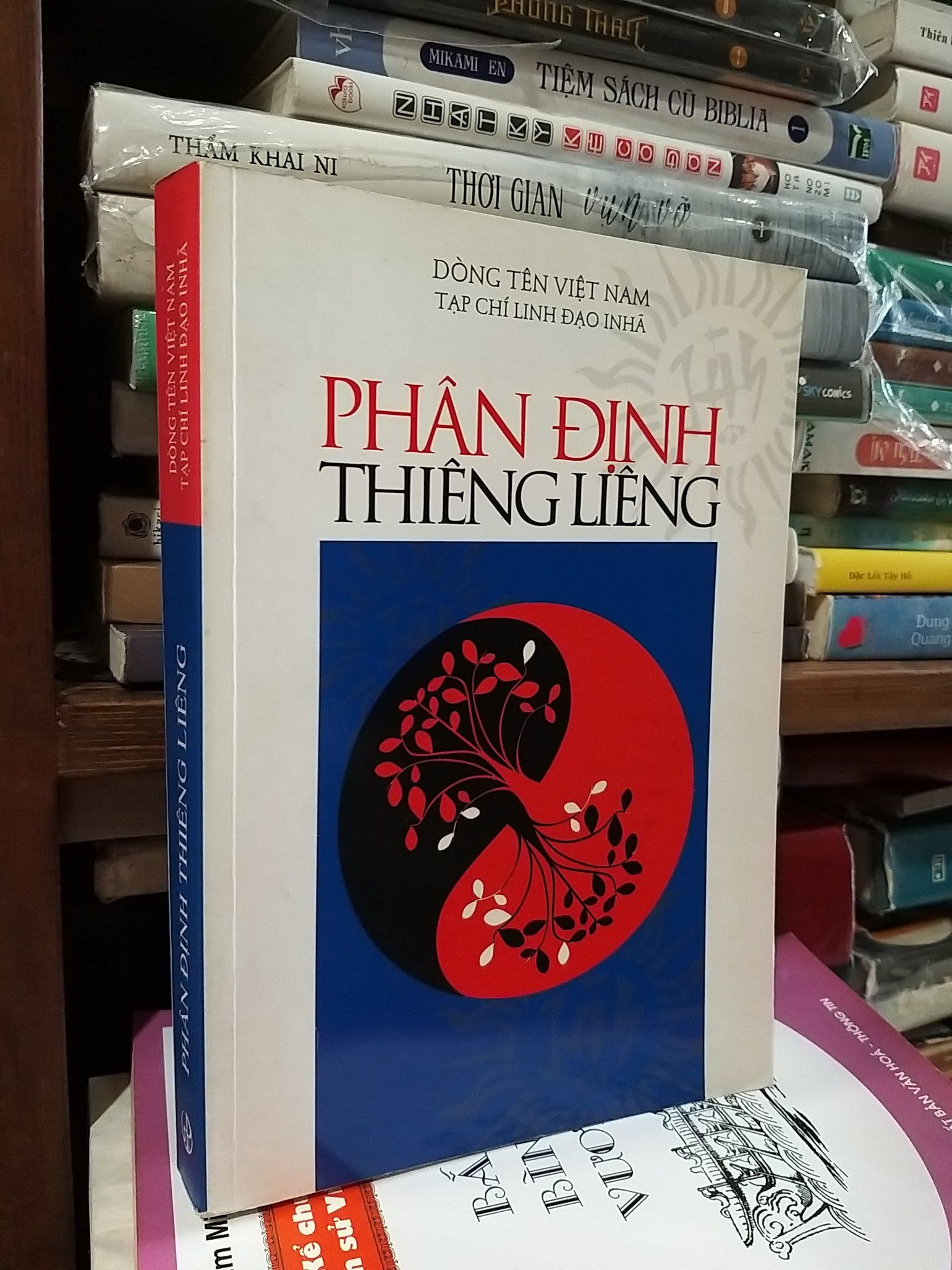  Phân định thiêng liêng - Dòng tên Việt Nam - Tạp chí linh đạo Inhã 