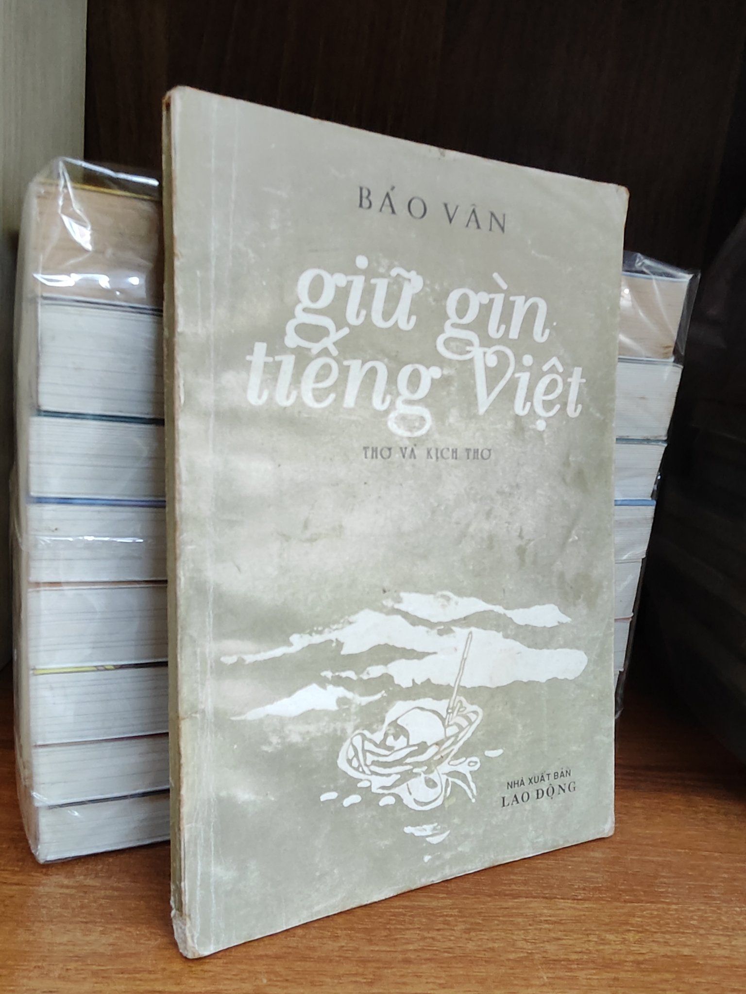  Giữ gìn tiếng Việt - Bảo Vân 