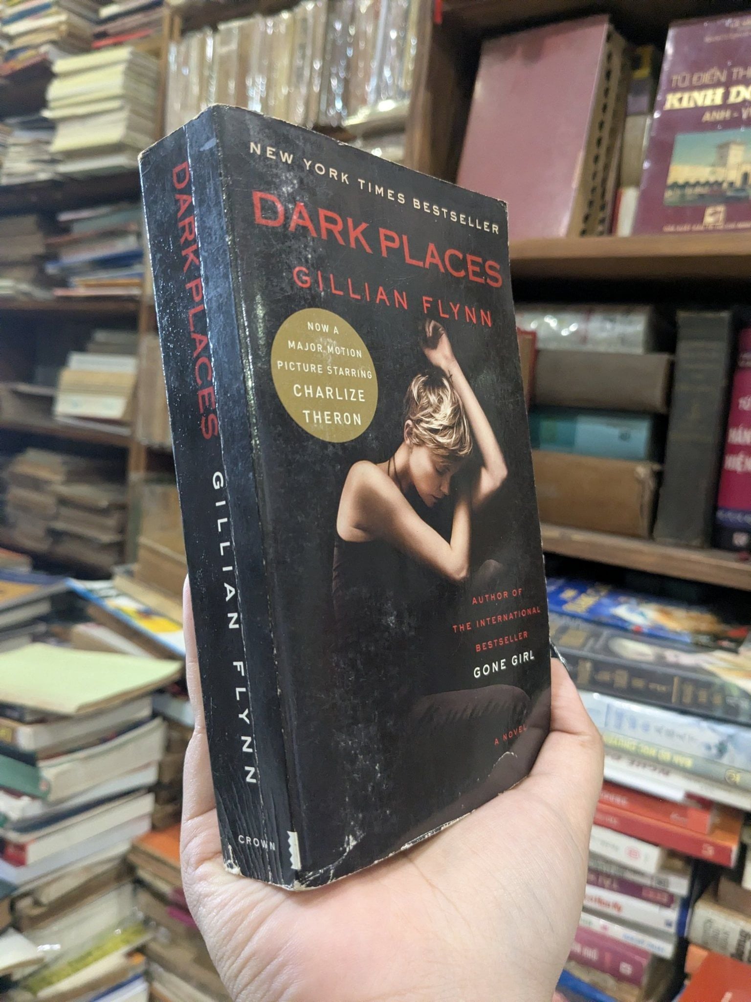  Dark Places - Gillian Flynn 
