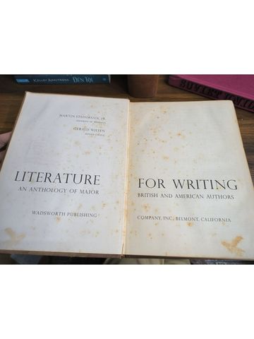  Literature For Writing - Martin Steinmann, Jr., Gerald Willen 