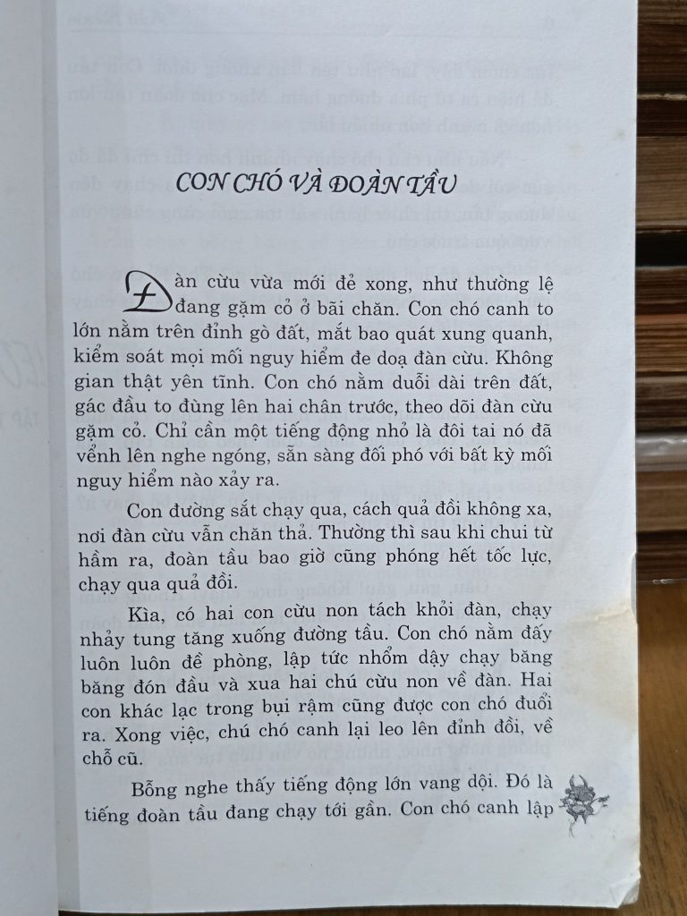  Leo Lên và Tụt Xuống - Aziz Nesin 