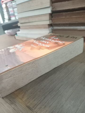  La montagne aux nuages - Aimée Liu 